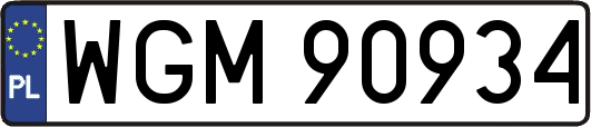 WGM90934