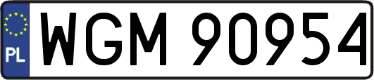 WGM90954