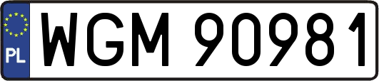 WGM90981
