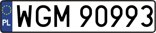 WGM90993