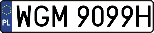 WGM9099H