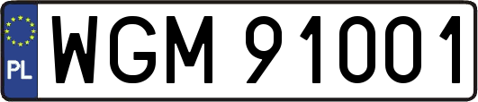 WGM91001