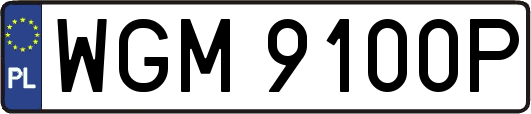 WGM9100P