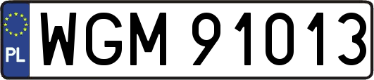 WGM91013