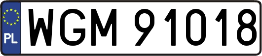 WGM91018