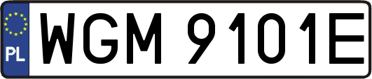 WGM9101E