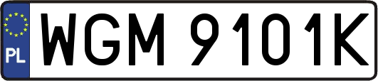 WGM9101K