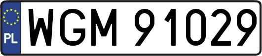 WGM91029
