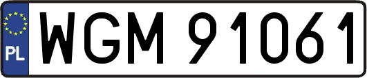WGM91061