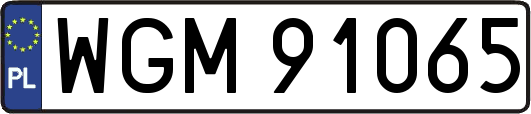 WGM91065