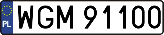 WGM91100