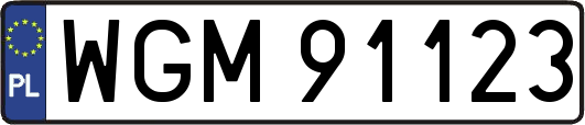 WGM91123