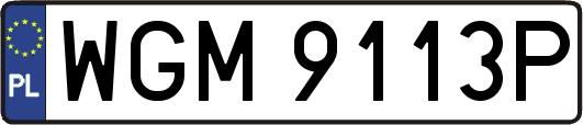 WGM9113P