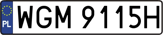 WGM9115H