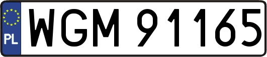 WGM91165