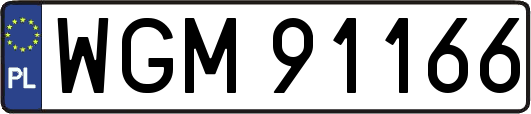 WGM91166