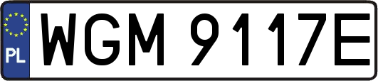 WGM9117E