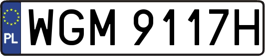 WGM9117H