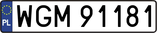 WGM91181