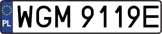 WGM9119E