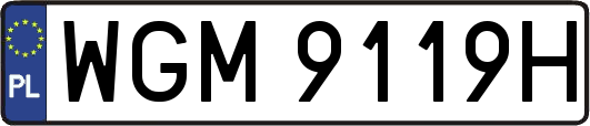 WGM9119H