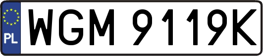 WGM9119K