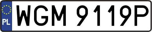 WGM9119P