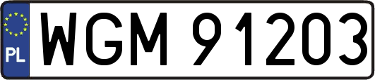 WGM91203
