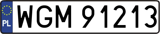 WGM91213