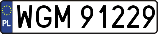 WGM91229