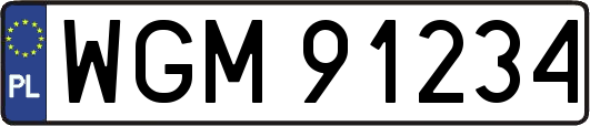 WGM91234