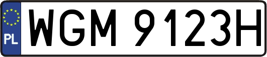 WGM9123H