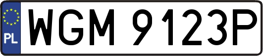 WGM9123P