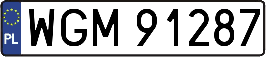 WGM91287