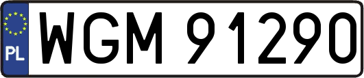 WGM91290