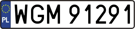 WGM91291
