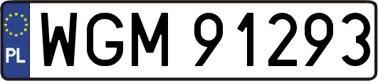 WGM91293