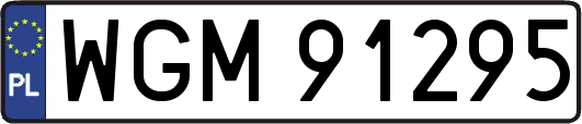 WGM91295