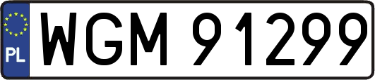 WGM91299