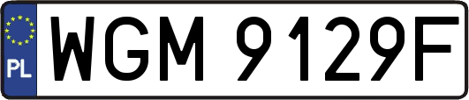 WGM9129F