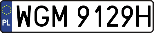 WGM9129H