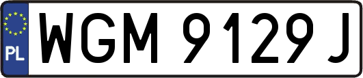 WGM9129J
