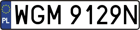 WGM9129N