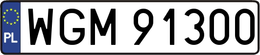 WGM91300