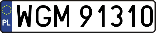 WGM91310