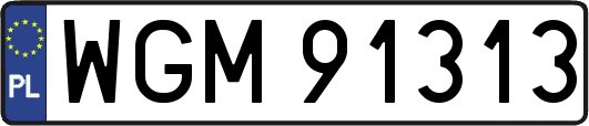WGM91313