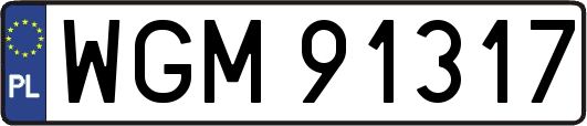 WGM91317