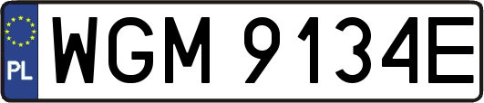 WGM9134E