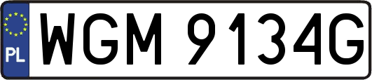 WGM9134G