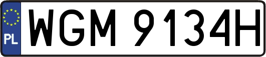 WGM9134H